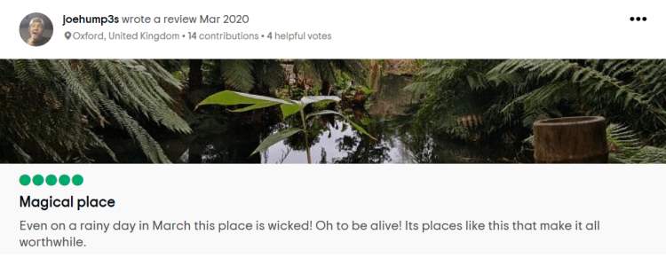 joehump3s review Heligan